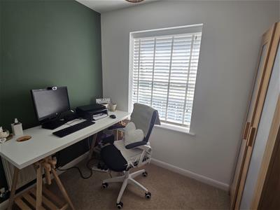 Picture 15